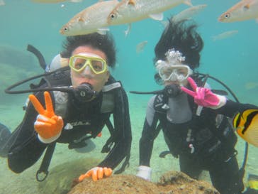 ドロップイン 沖縄に投稿された画像（2018/11/19）