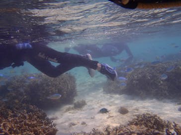 沖縄ダイビングショップシーモールに投稿された画像（2018/11/6）