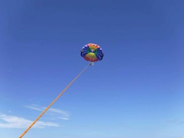 Sea World（シーワールド）に投稿された画像（2018/7/15）