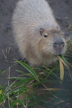 阿蘇カドリー・ドミニオンに投稿された画像（2018/12/30）