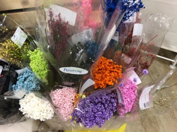 ずこうしつ〜sugamo〜に投稿された画像（2019/5/21）