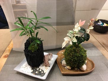 カルチャースクールいろはに投稿された画像（2018/3/4）