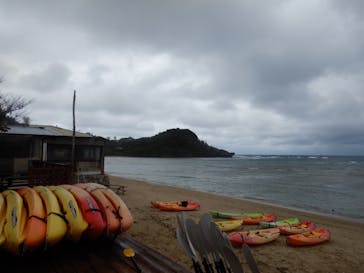 アルガイド沖縄に投稿された画像（2019/2/9）