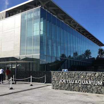 上越市立水族博物館 うみがたりに投稿された画像（2018/10/22）