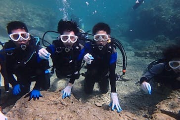 diving&workshop IHANASHI（ダイビングアンドワークショップイハナシ）に投稿された画像（2019/3/13）