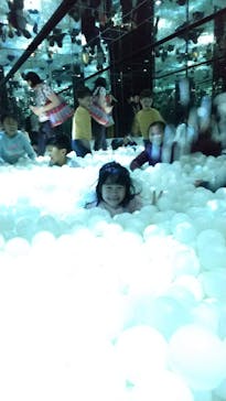 サンシャイン水族館に投稿された画像（2018/11/24）