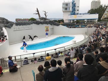 鴨川シーワールドに投稿された画像（2019/3/30）