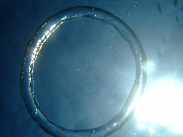 沖縄ダイビングショップシーモールに投稿された画像（2018/11/14）