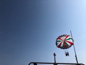 Sea World（シーワールド）に投稿された画像（2019/3/13）