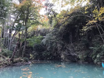 カヌーリゾートたまよどに投稿された画像（2017/11/20）