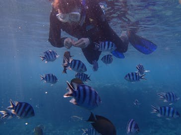 沖縄マリンクラブ結に投稿された画像（2019/3/26）