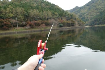 ラブレイクに投稿された画像（2018/11/4）