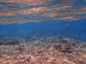 青の洞窟専門店　沖縄ダイビングショップ和に投稿された画像（2018/3/25）