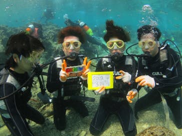 ドロップイン 沖縄に投稿された画像（2019/3/14）