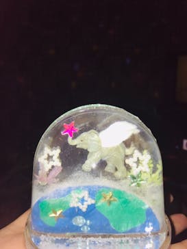 スノードーム美術館に投稿された画像（2019/1/20）