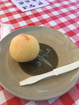 観光農園 西山ファームに投稿された画像（2018/8/10）