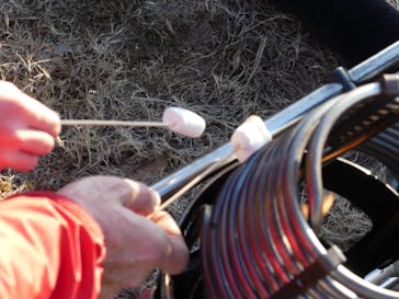 ウイニングバルーンクラブに投稿された画像（2017/12/29）