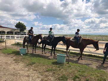 【契約解除】エル・パティオ牧場に投稿された画像（2018/10/8）