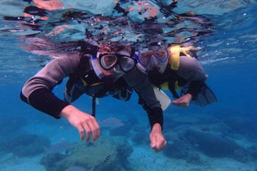 diving&workshop IHANASHI（ダイビングアンドワークショップイハナシ）に投稿された画像（2018/10/11）