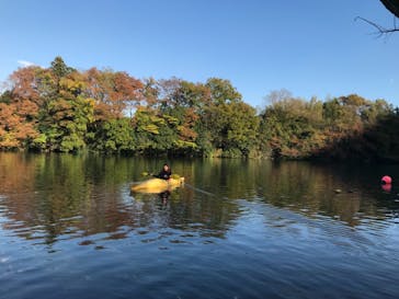 カヌーリゾートたまよどに投稿された画像（2018/12/18）