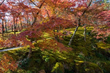 箱根美術館に投稿された画像（2018/11/24）