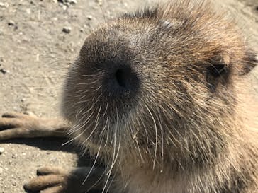 アロハガーデンたてやまに投稿された画像（2019/5/24）