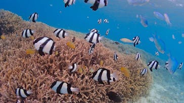 アクアドロップに投稿された画像（2019/5/3）