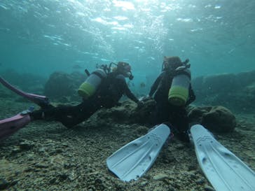 武藤潜水に投稿された画像（2019/5/29）