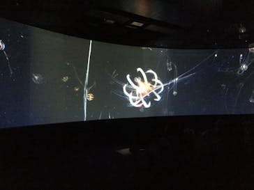 オービィ横浜に投稿された画像（2017/10/1）