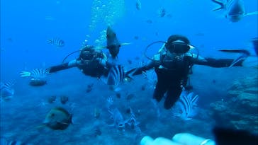 青の洞窟専門店　沖縄ダイビングショップ和に投稿された画像（2019/2/24）