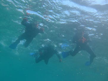 沖縄ダイビングショップシーモールに投稿された画像（2018/11/14）