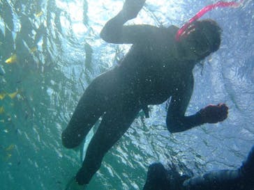 沖縄ダイビングショップシーモールに投稿された画像（2018/11/4）