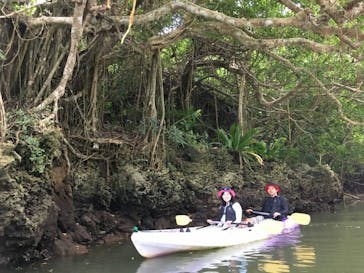 CHOROに投稿された画像（2018/11/23）