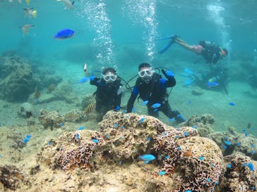 diving&workshop IHANASHI（ダイビングアンドワークショップイハナシ）に投稿された画像（2018/7/18）