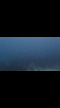 Diving Schoolテールアップ 福岡天神に投稿された画像（2017/12/12）