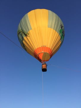 ウイニングバルーンクラブに投稿された画像（2018/1/6）