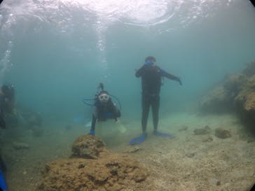 diving&workshop IHANASHI（ダイビングアンドワークショップイハナシ）に投稿された画像（2018/7/17）