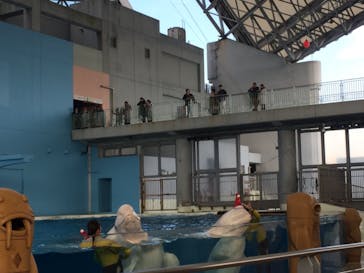 横浜・八景島シーパラダイスに投稿された画像（2017/12/25）