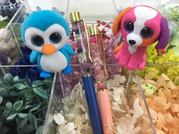 ずこうしつ〜sugamo〜に投稿された画像（2019/2/9）