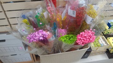 ずこうしつ〜sugamo〜に投稿された画像（2019/1/7）