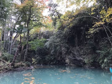 カヌーリゾートたまよどに投稿された画像（2017/11/20）