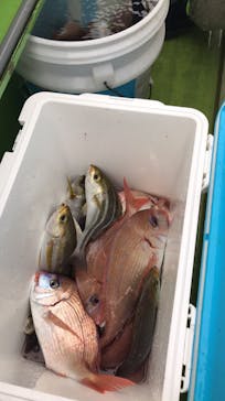 なごみ丸に投稿された画像（2018/12/12）