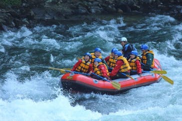 ネイチャー・ナビゲーター（みなかみ）に投稿された画像（2018/6/3）