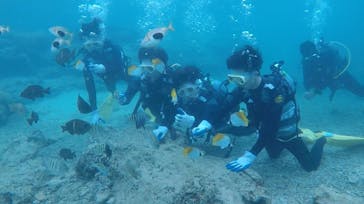 ドロップイン 沖縄に投稿された画像（2018/6/16）