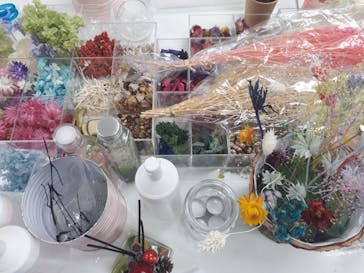 ずこうしつ〜sugamo〜に投稿された画像（2019/4/3）