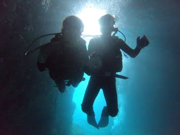 武藤潜水に投稿された画像（2019/3/28）