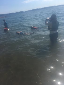 志摩自然学校に投稿された画像（2018/8/10）