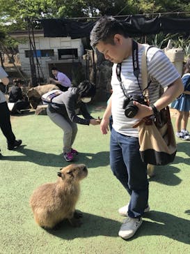 伊豆シャボテン動物公園に投稿された画像（2018/5/22）