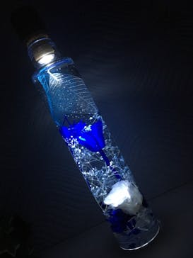 ずこうしつ〜sugamo〜に投稿された画像（2018/11/23）