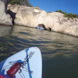 【松島】KUUNEL SUP (クーネルサップ)に投稿された画像（2018/10/7）